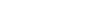 DNL logo-06 (1)